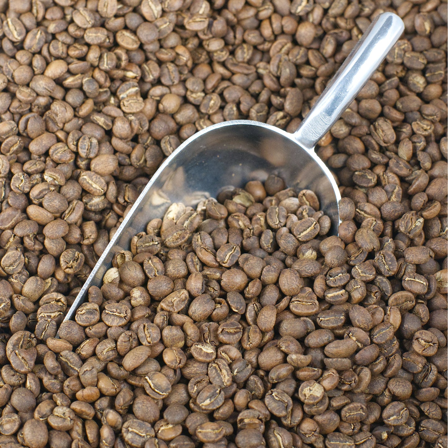 Kenya AA Gulmarg Estate - Washed